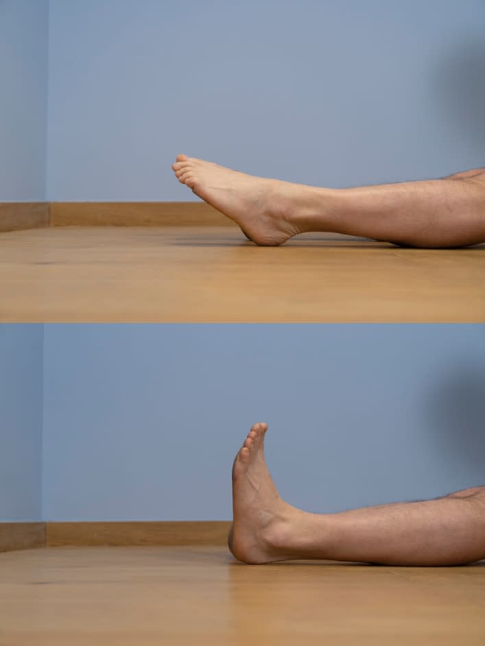 Dorsiflexion And Plantar Flexion The Ankle Joint Articulations Dorsiflexion And Plantar Flexion The Ankle Joint Articulations